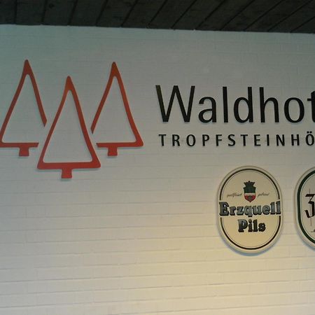 Waldhotel Tropfsteinhoehle Wiehl Exterior foto